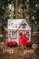 Sikes - Tiny Christmas House