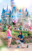 Keith and Lisa's Walt Disney World Proposal
